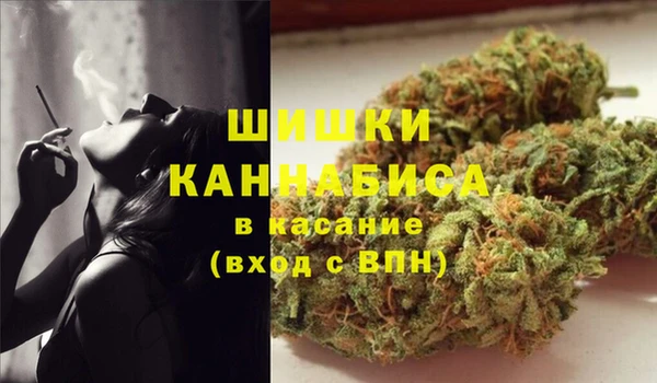 СК Волоколамск