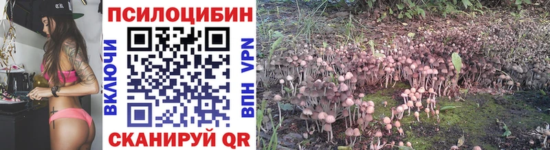 Галлюциногенные грибы GOLDEN TEACHER где купить наркоту Псков
